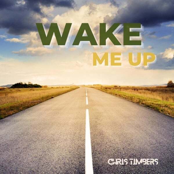 Cover art for Wake Me Up